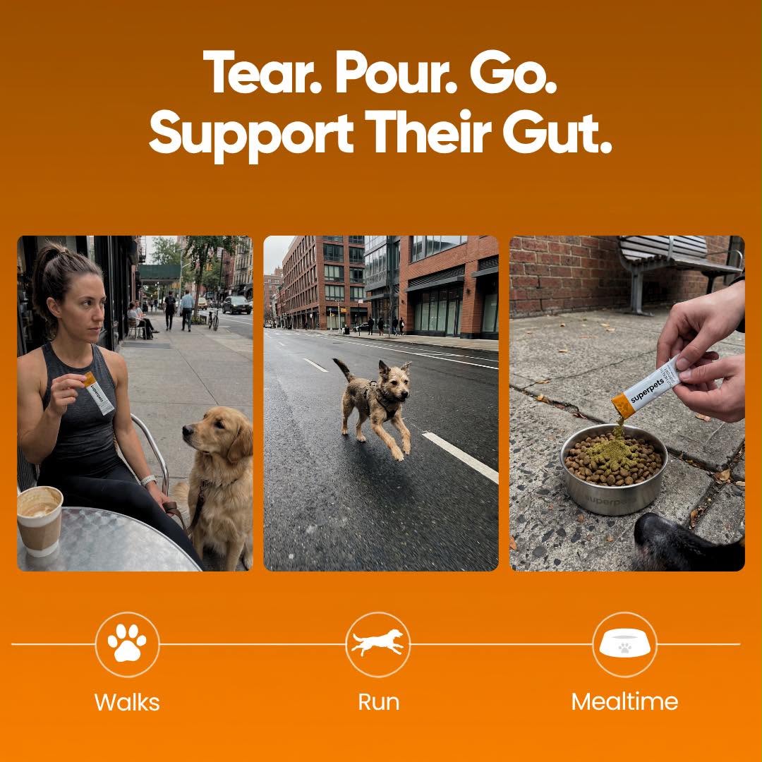 Dog Probiotic Powder For Gut Health