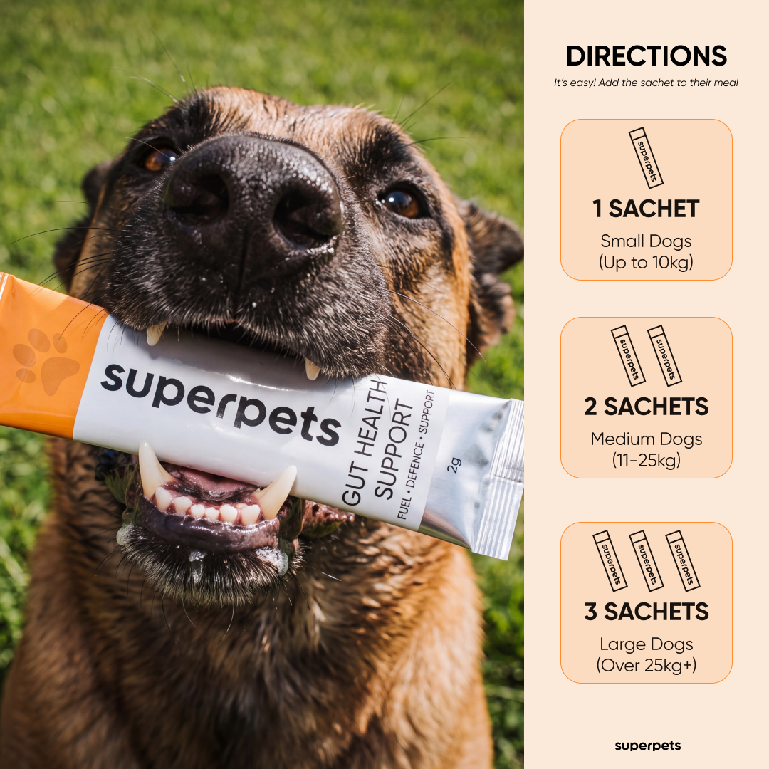 Dog Probiotic Powder For Gut Health