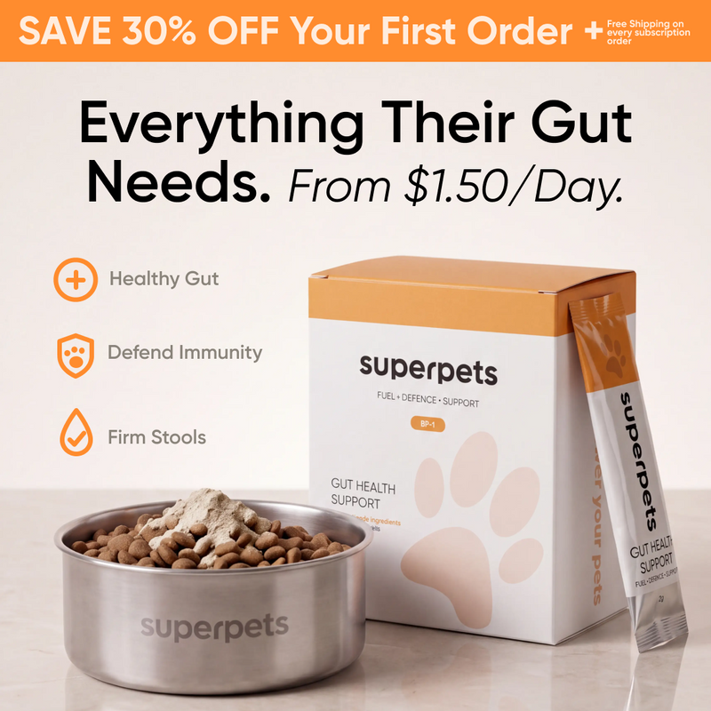 Dog Probiotic Powder For Gut Health