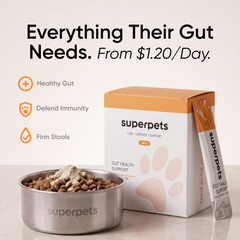 Dog Prebiotic and Probiotic Powder For Gut Health
