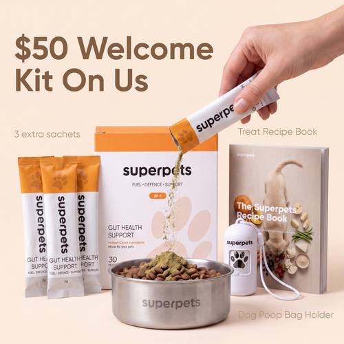 Dog Probiotic Powder For Gut Health