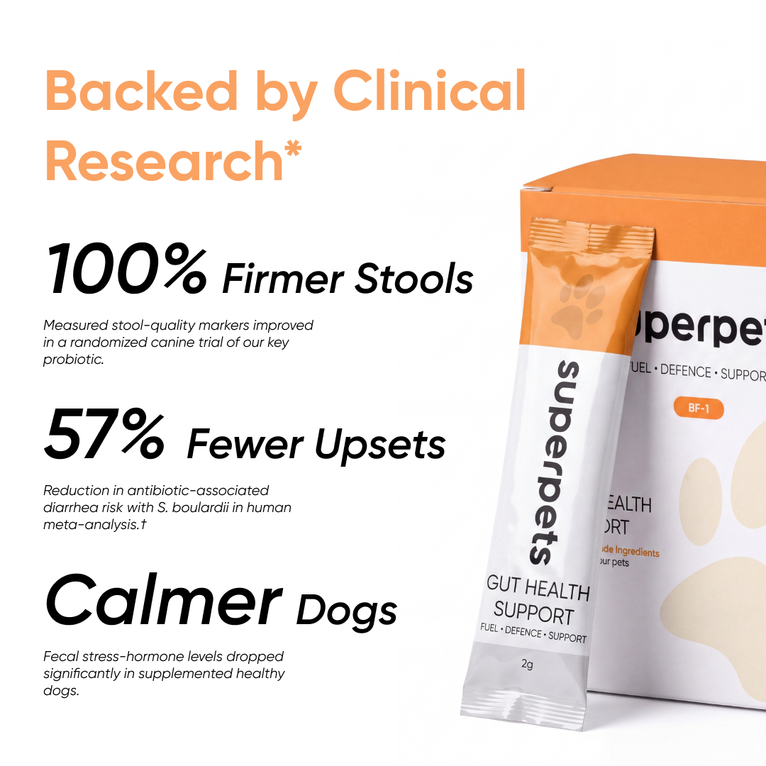Dog Probiotic Powder For Gut Health