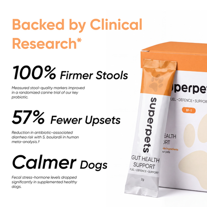 Dog Probiotic Powder For Gut Health
