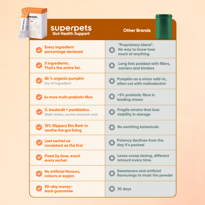 Dog Probiotic Powder For Gut Health