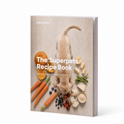 Treats Recipe E-Book
