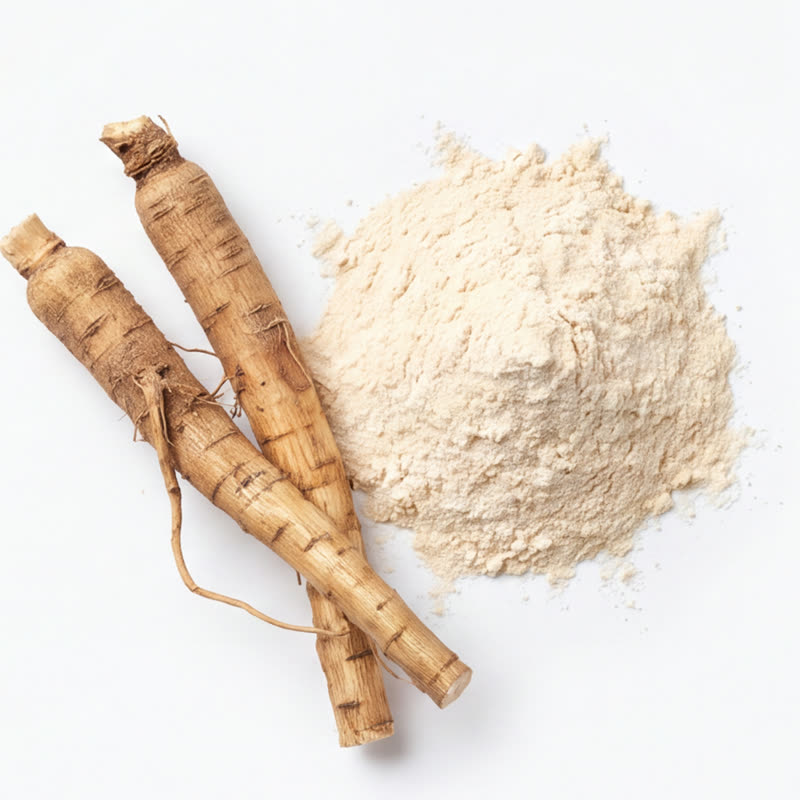 Inulin / Chicory Root Extract